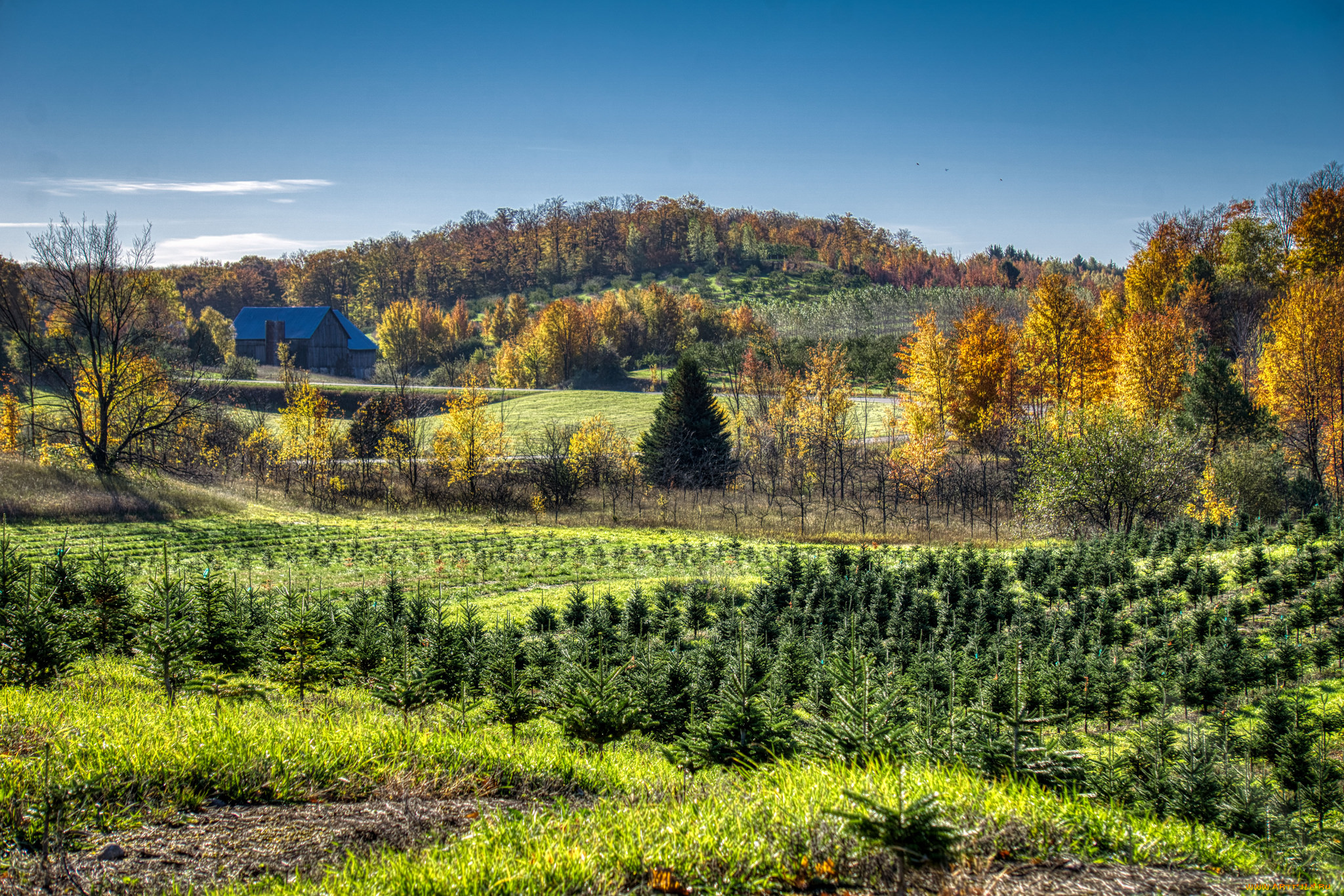 природа, пейзажи, простор
