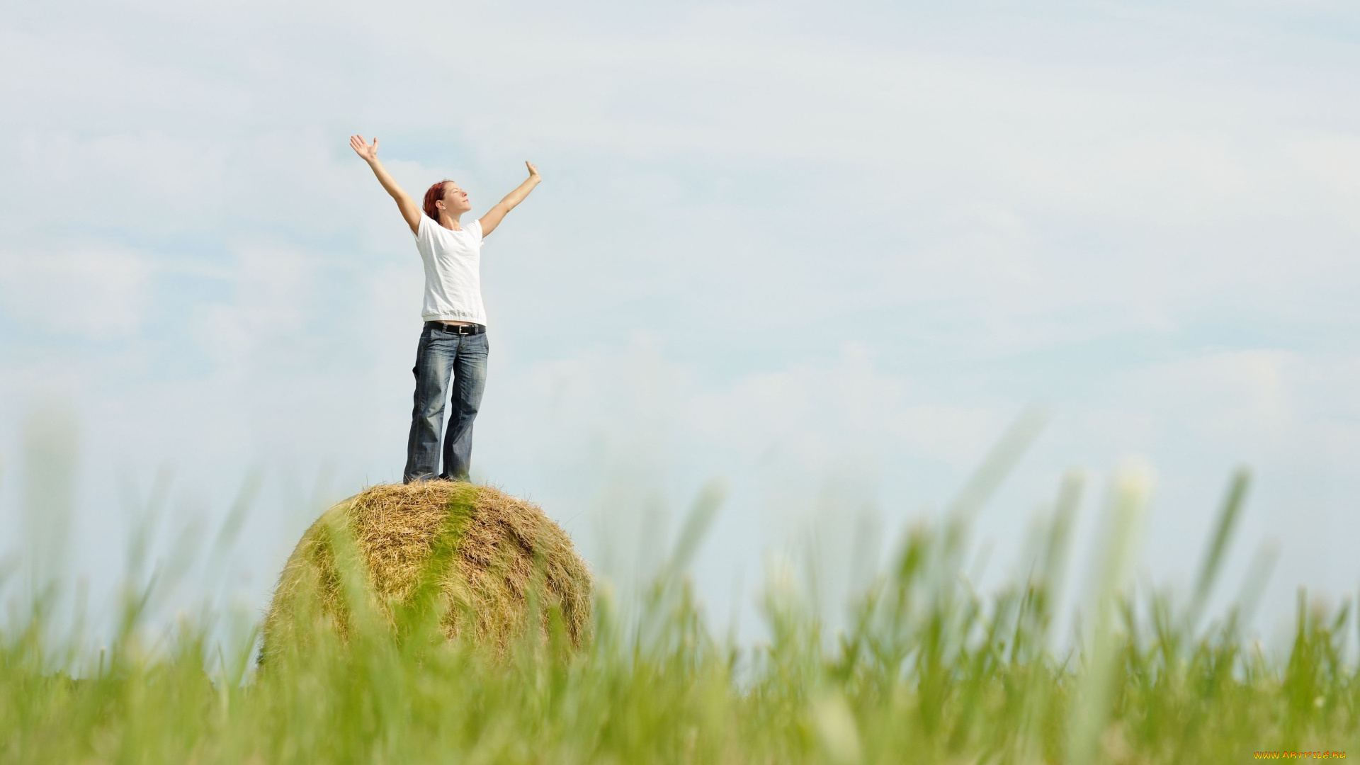 девушки, -unsort, , рыжеволосые, и, другие, сено, поле, трава, джинсы, футболка