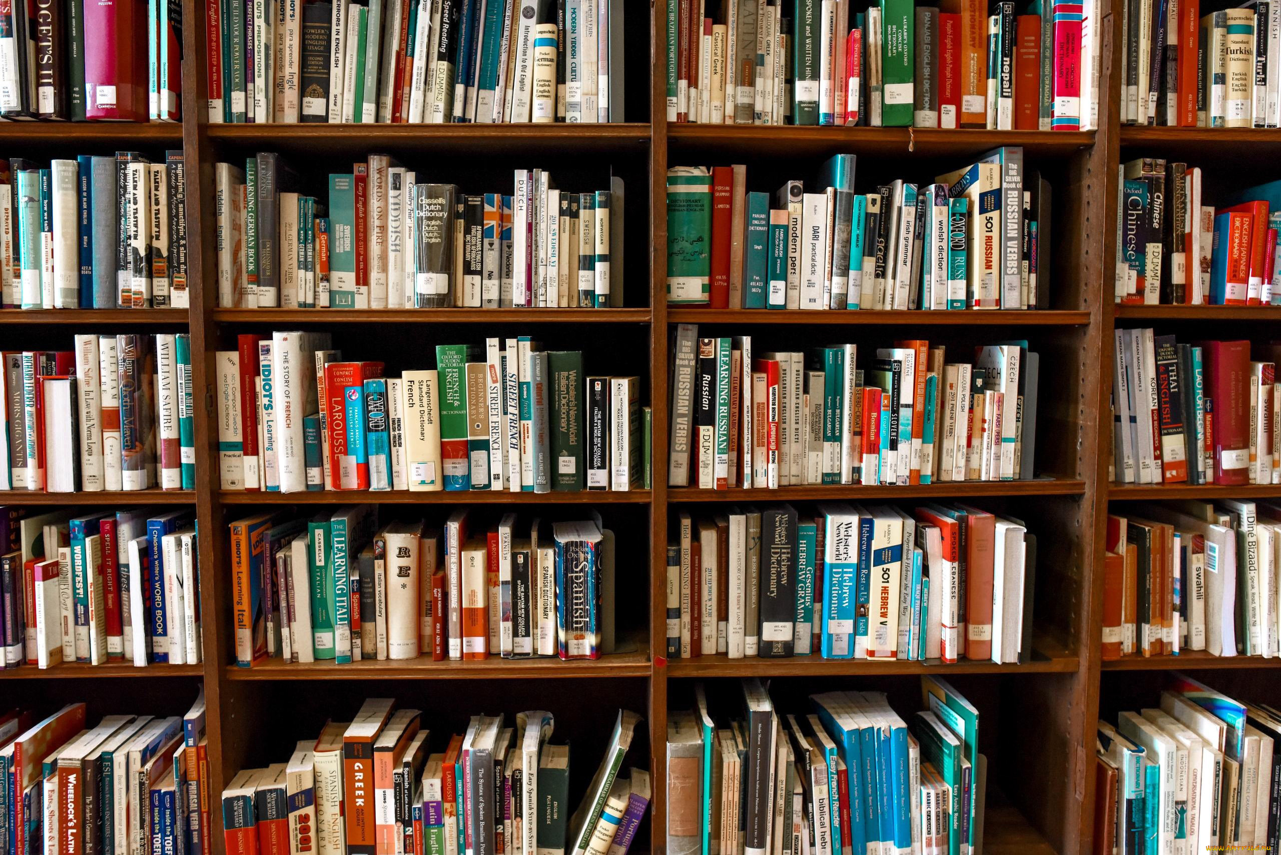 разное, канцелярия, , книги, книжные, полки, книги