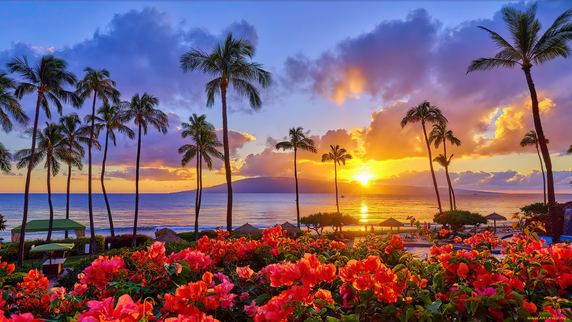 kaanapali, nights, maui, hawaii, природа, тропики, kaanapali, nights