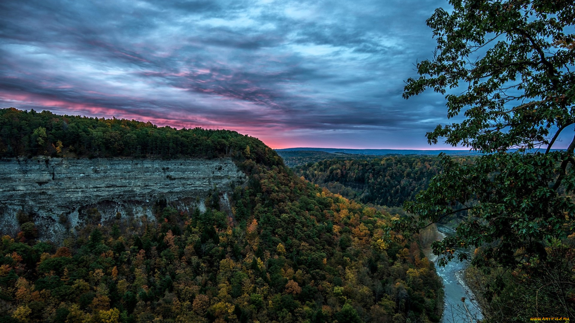 природа, горы, лес, река