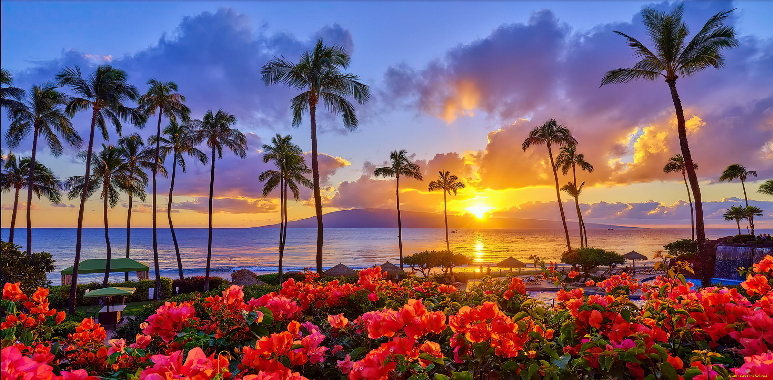 kaanapali, nights, maui, hawaii, природа, тропики, kaanapali, nights