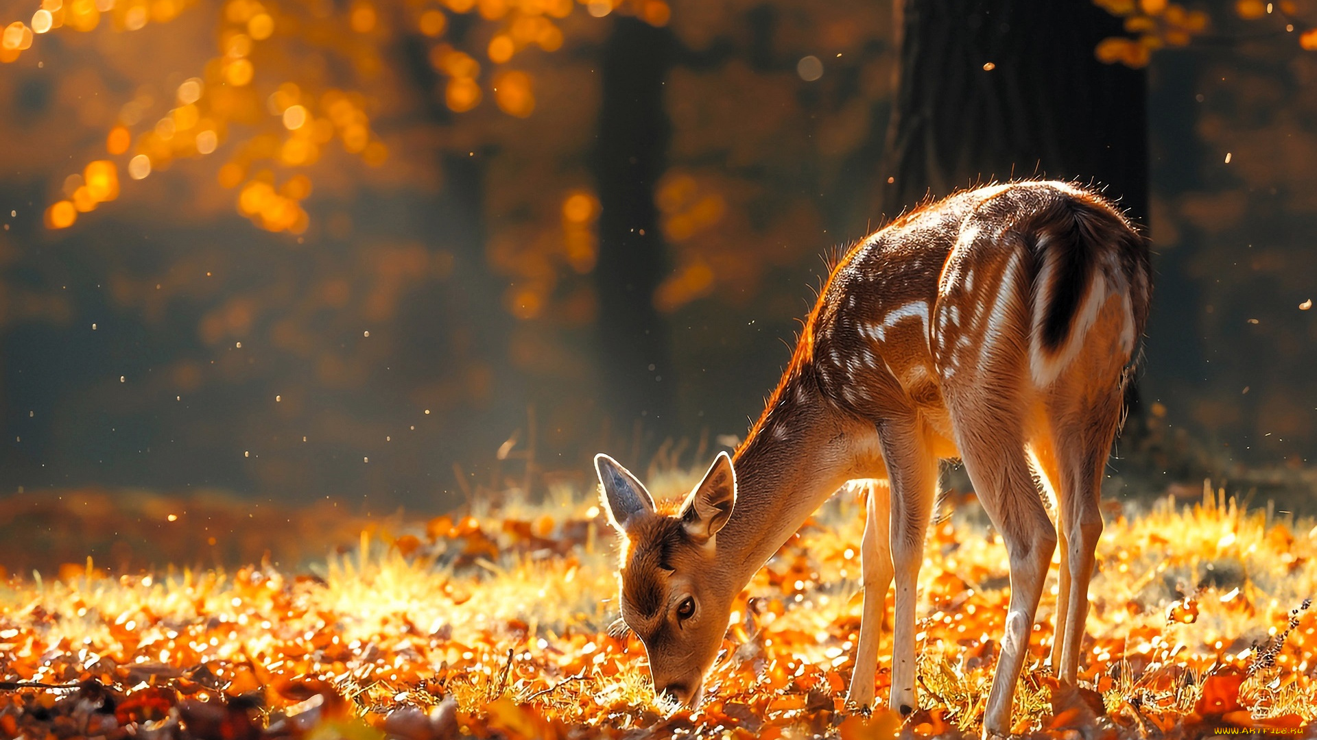разное, компьютерный, дизайн, олененок, деревья, лес, осень, листья