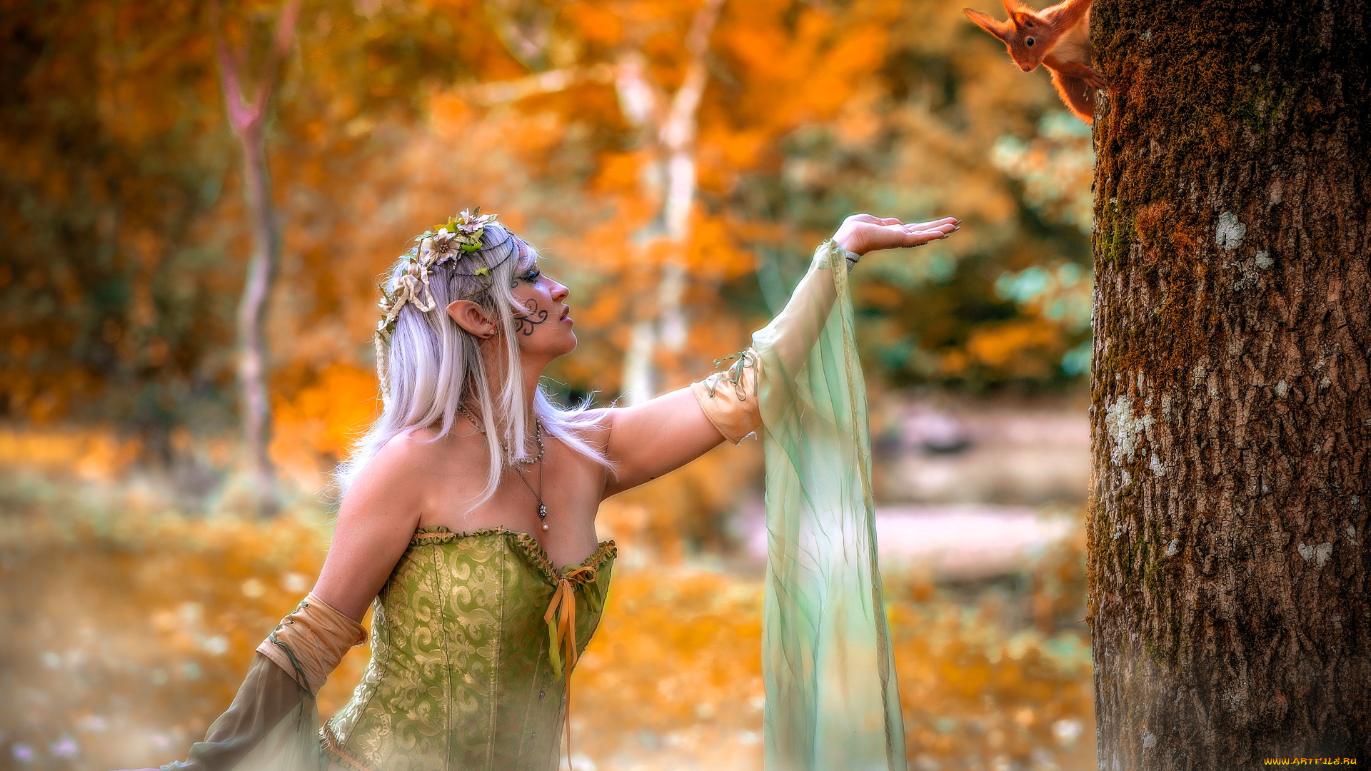 девушки, -, креатив, , косплей, образ, косплей, наряд, костюм, эльфийка, дерево, белка, осень, лес, листья