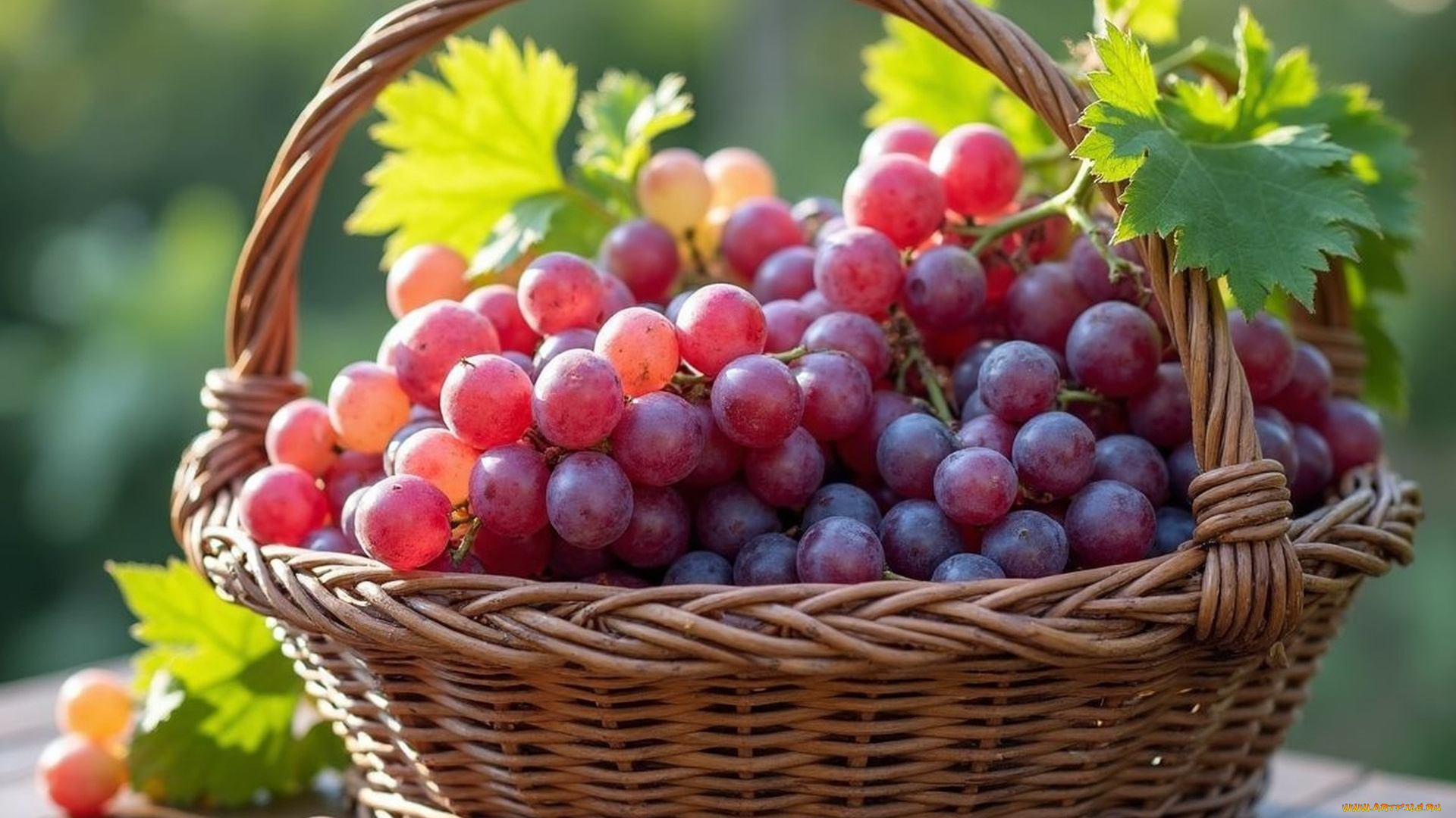еда, виноград, корзинка, урожай