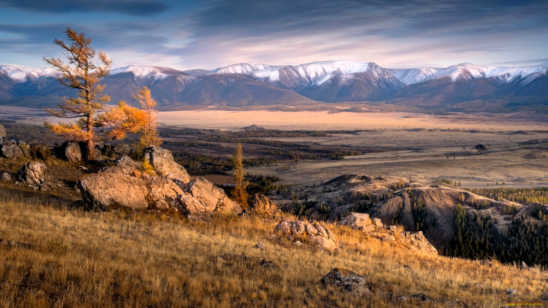 природа, горы, долина, дерево, камни, алтай