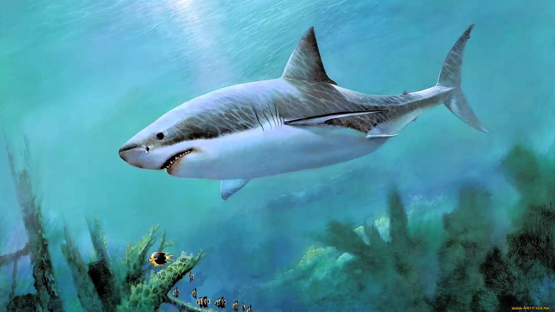 рисованное, животные, , рыбы, акула, море, рыбы, дно