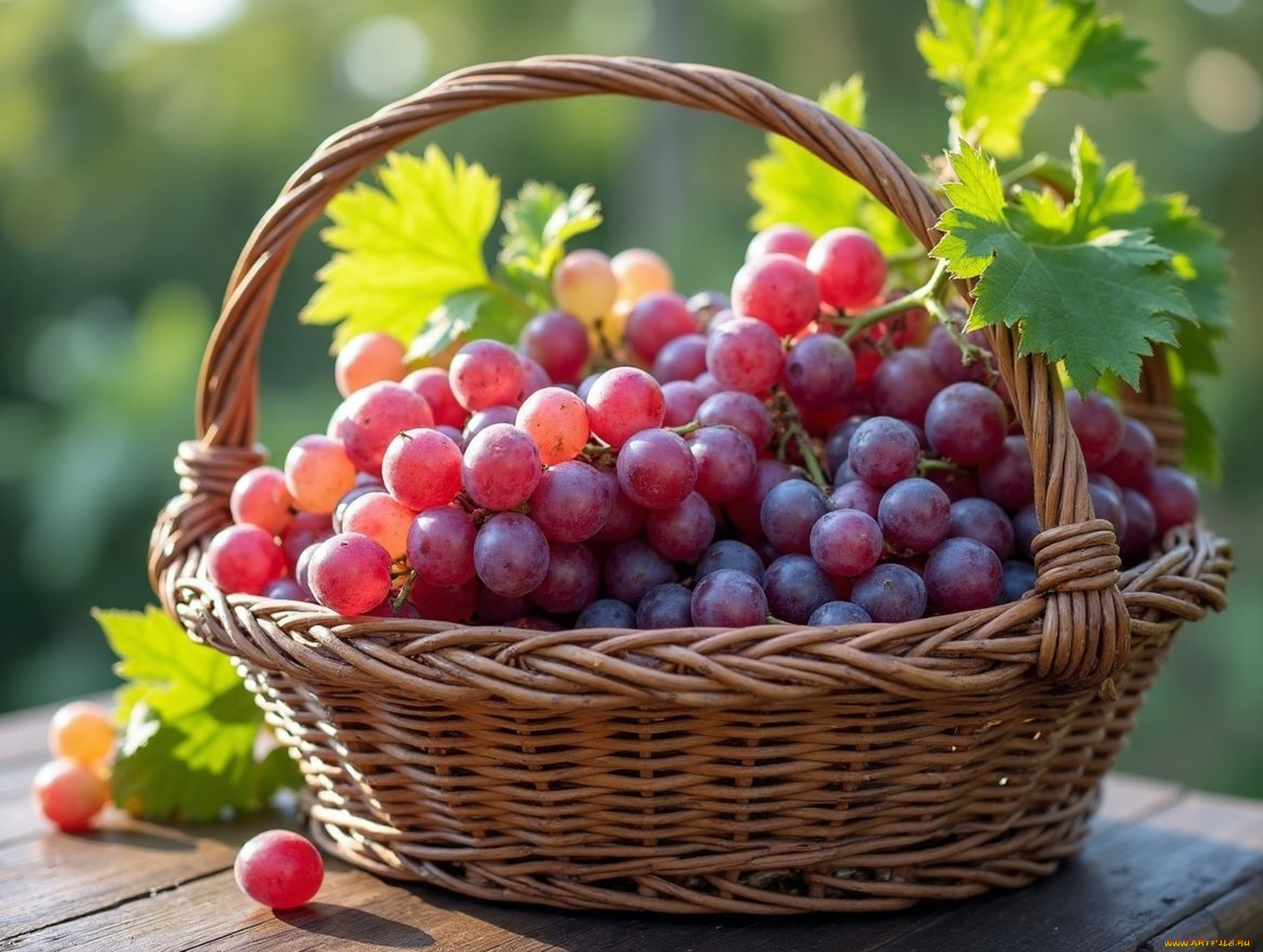 еда, виноград, корзинка, урожай