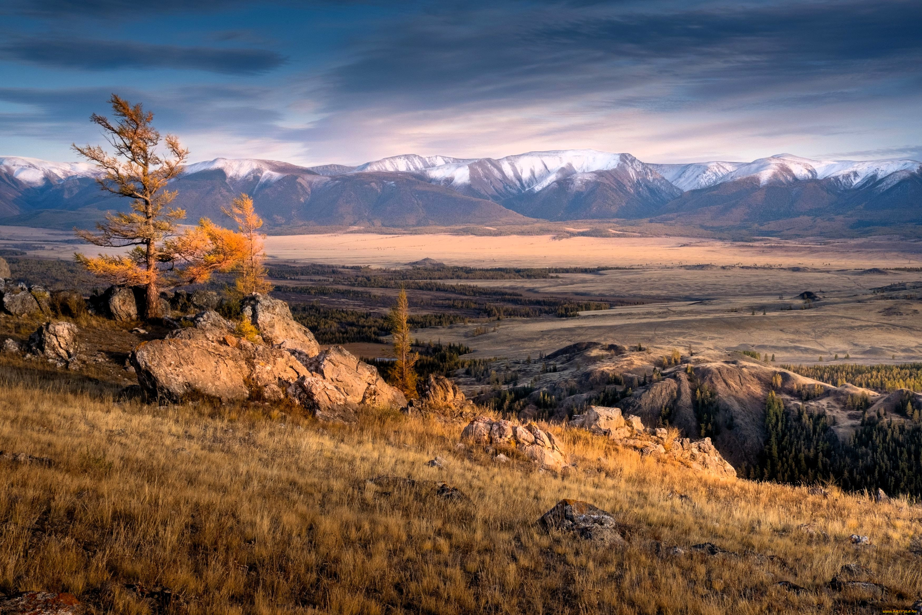 природа, горы, долина, дерево, камни, алтай