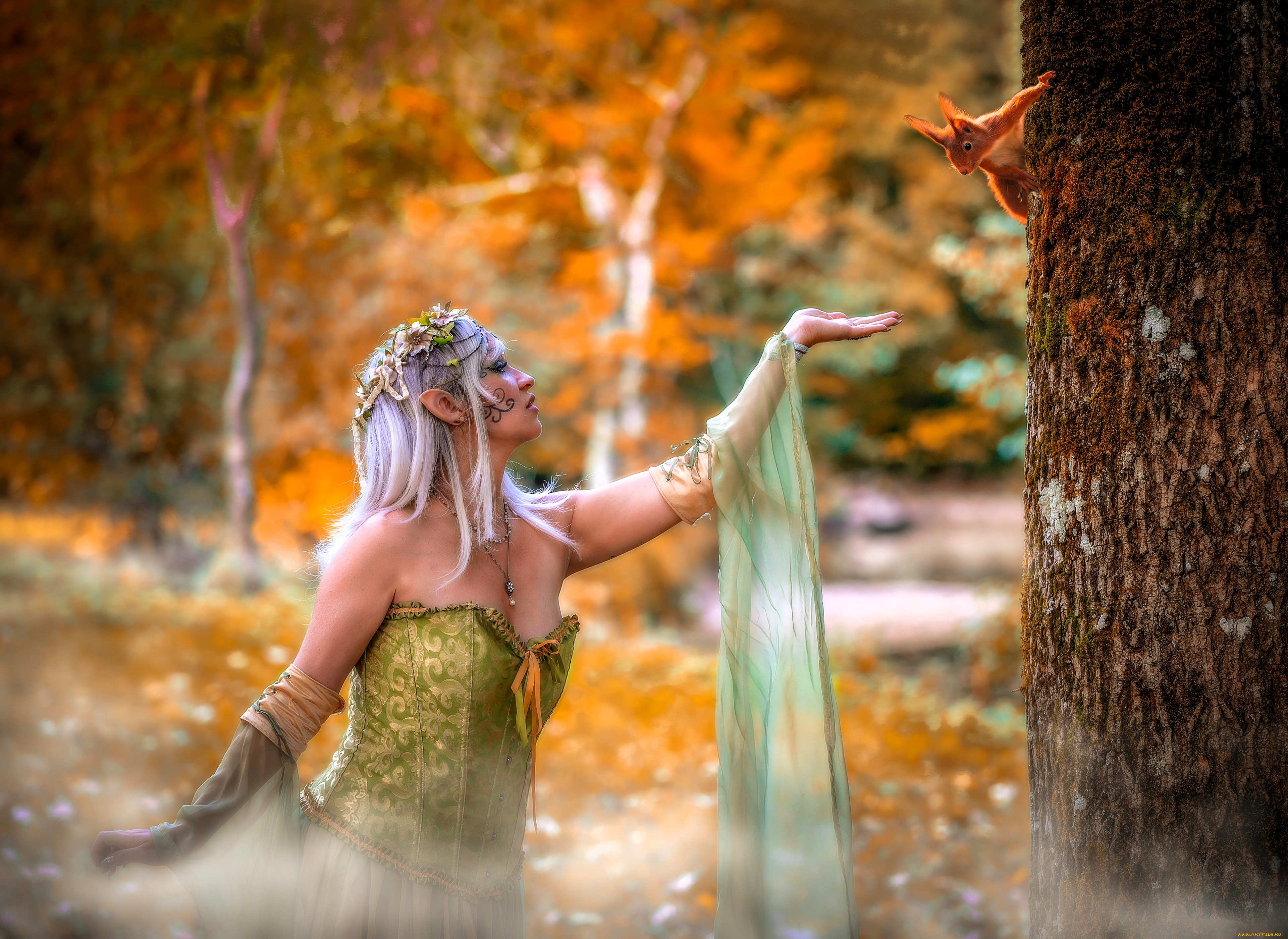 девушки, -, креатив, , косплей, образ, косплей, наряд, костюм, эльфийка, дерево, белка, осень, лес, листья
