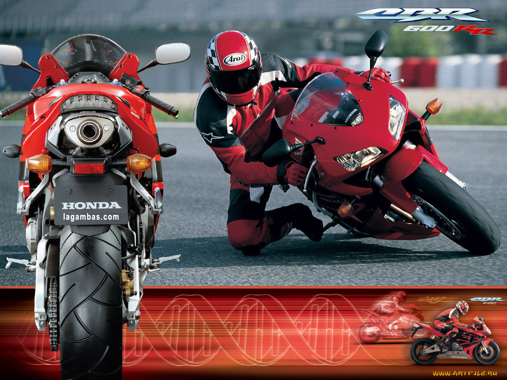 мотоциклы, honda