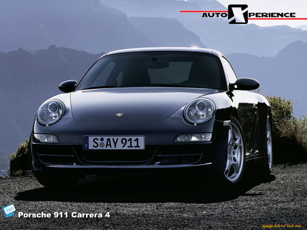 porsche911carrera, автомобили, porsche