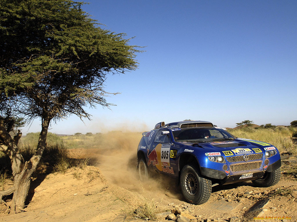 спорт, авторалли