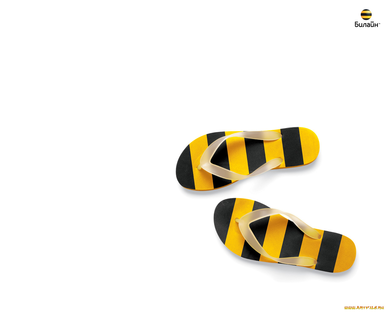 бренды, beeline