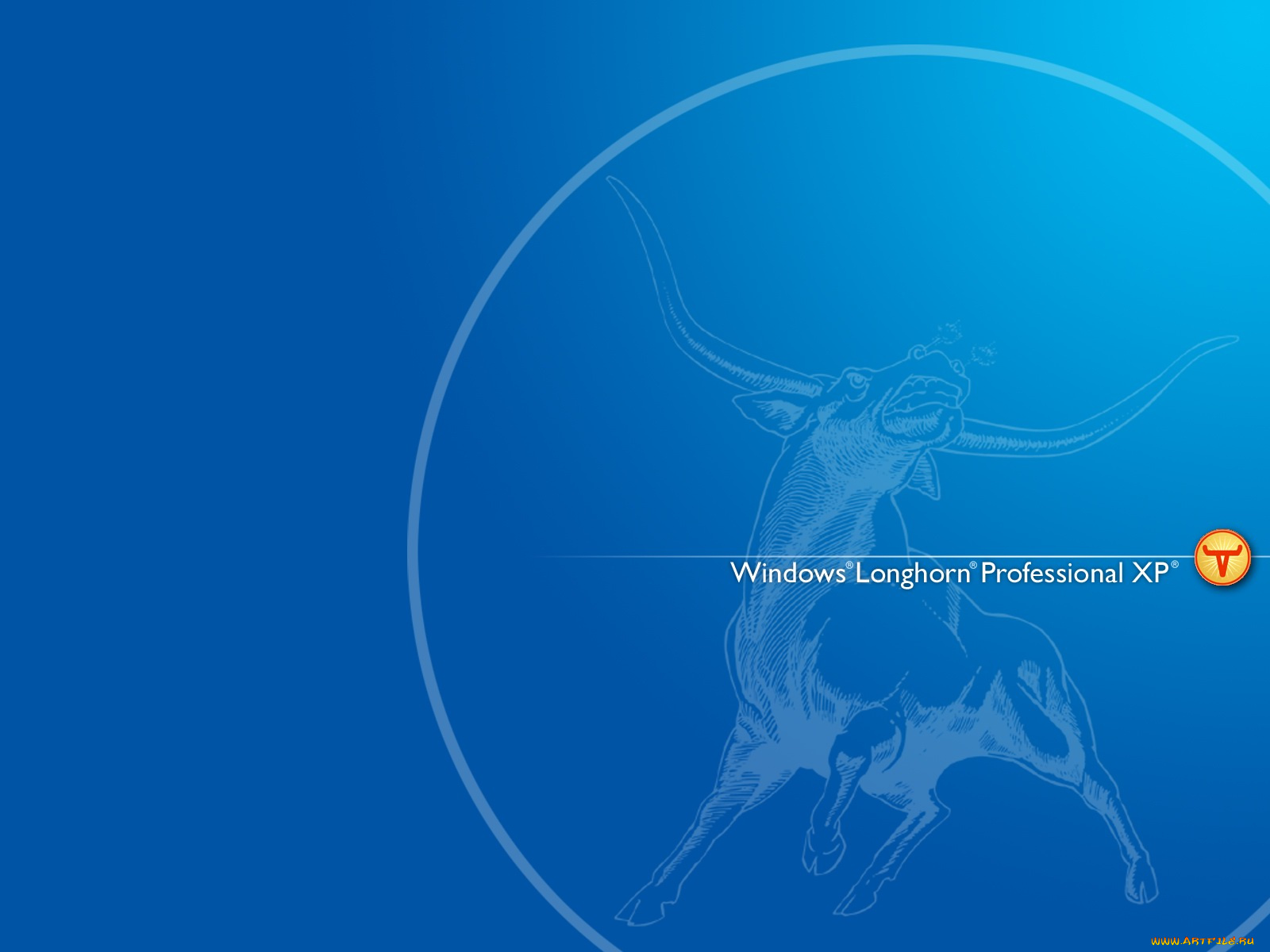 компьютеры, windows, xp