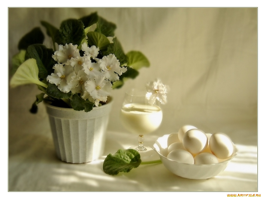 анна, немирович, пока, цветут, фиалки, еда, натюрморт