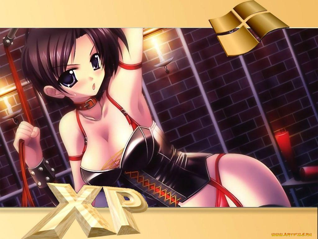 компьютеры, windows, xp