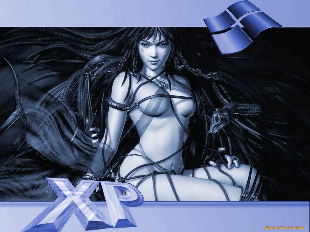 компьютеры, windows, xp