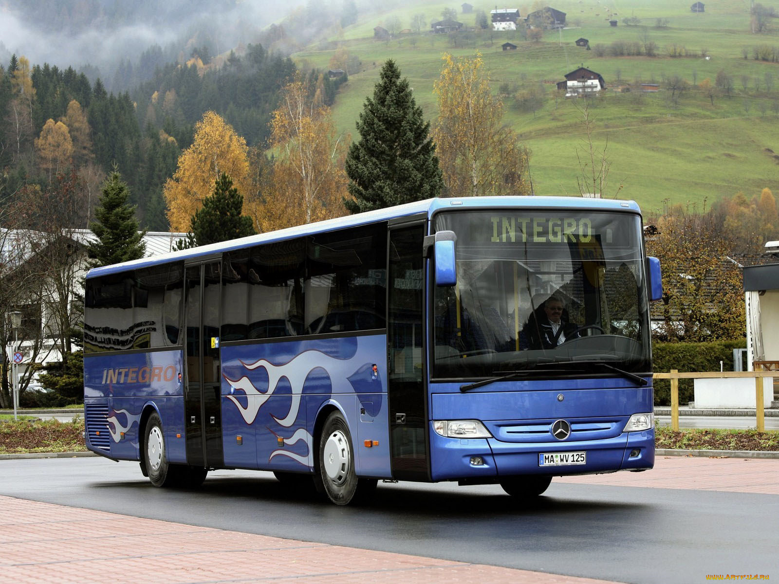 автомобили, автобусы