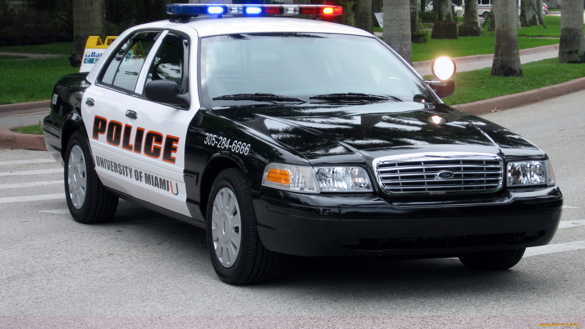 автомобили, полиция