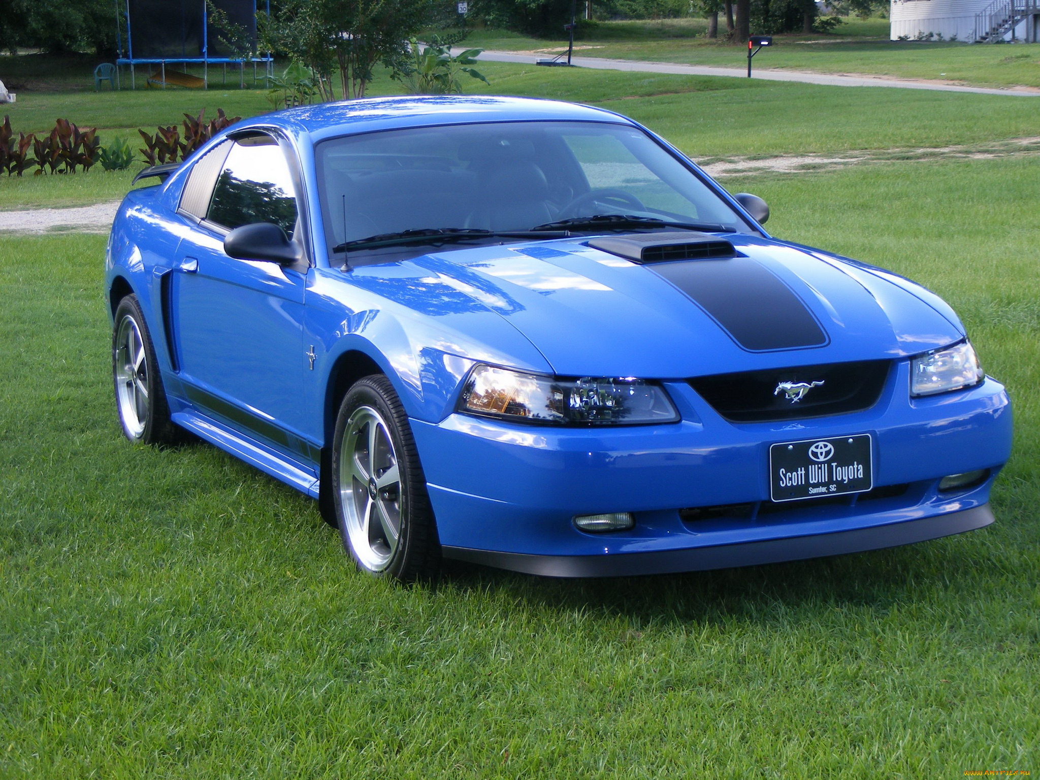 автомобили, mustang