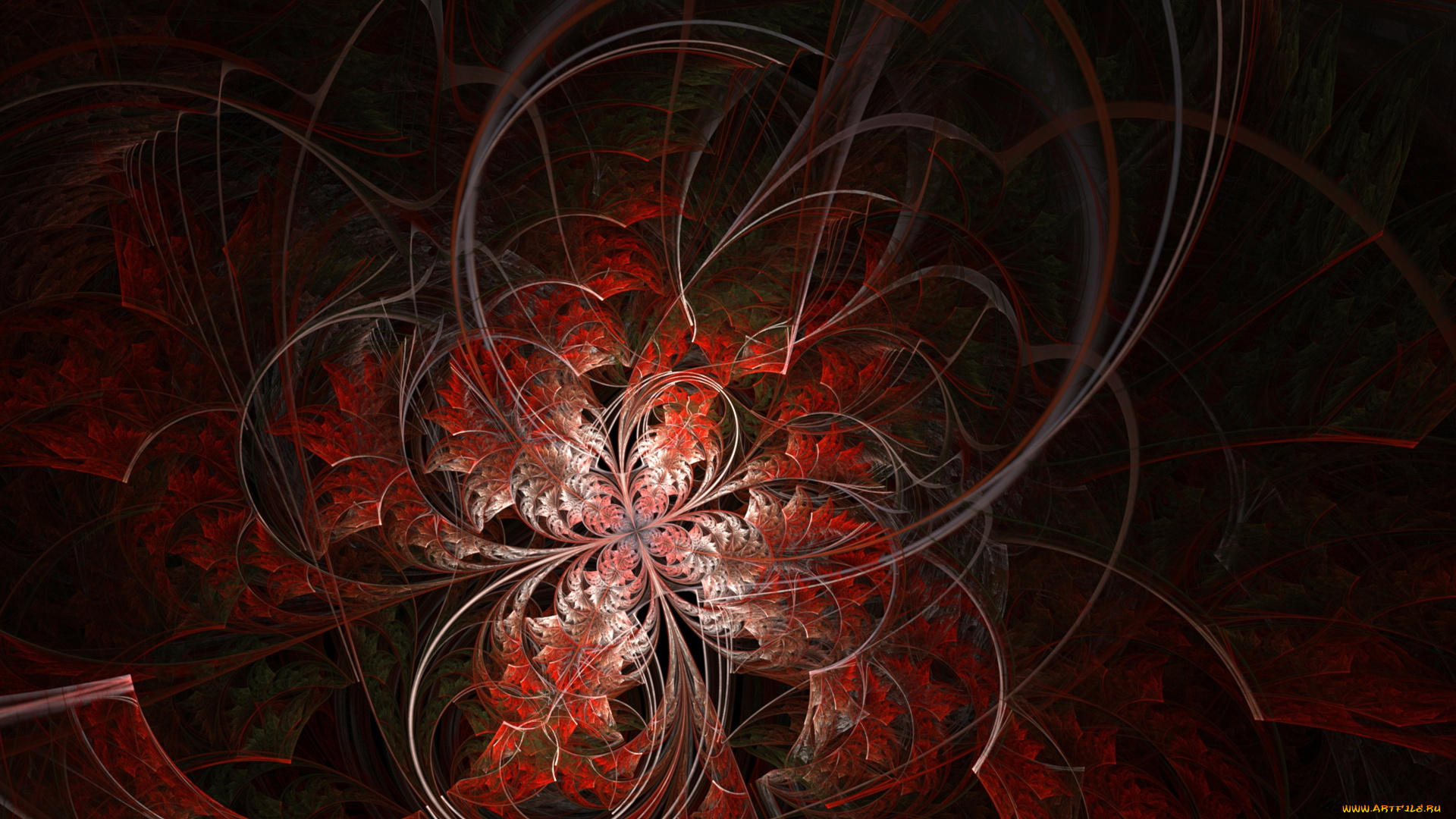 3д, графика, fractal, фракталы, абстракция