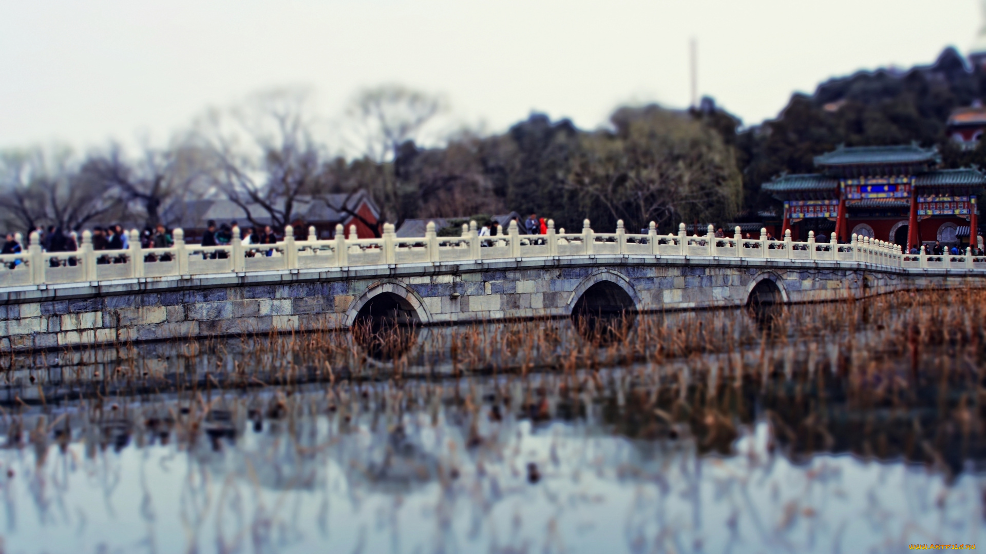 города, мосты, китай, миниатюра, мостик