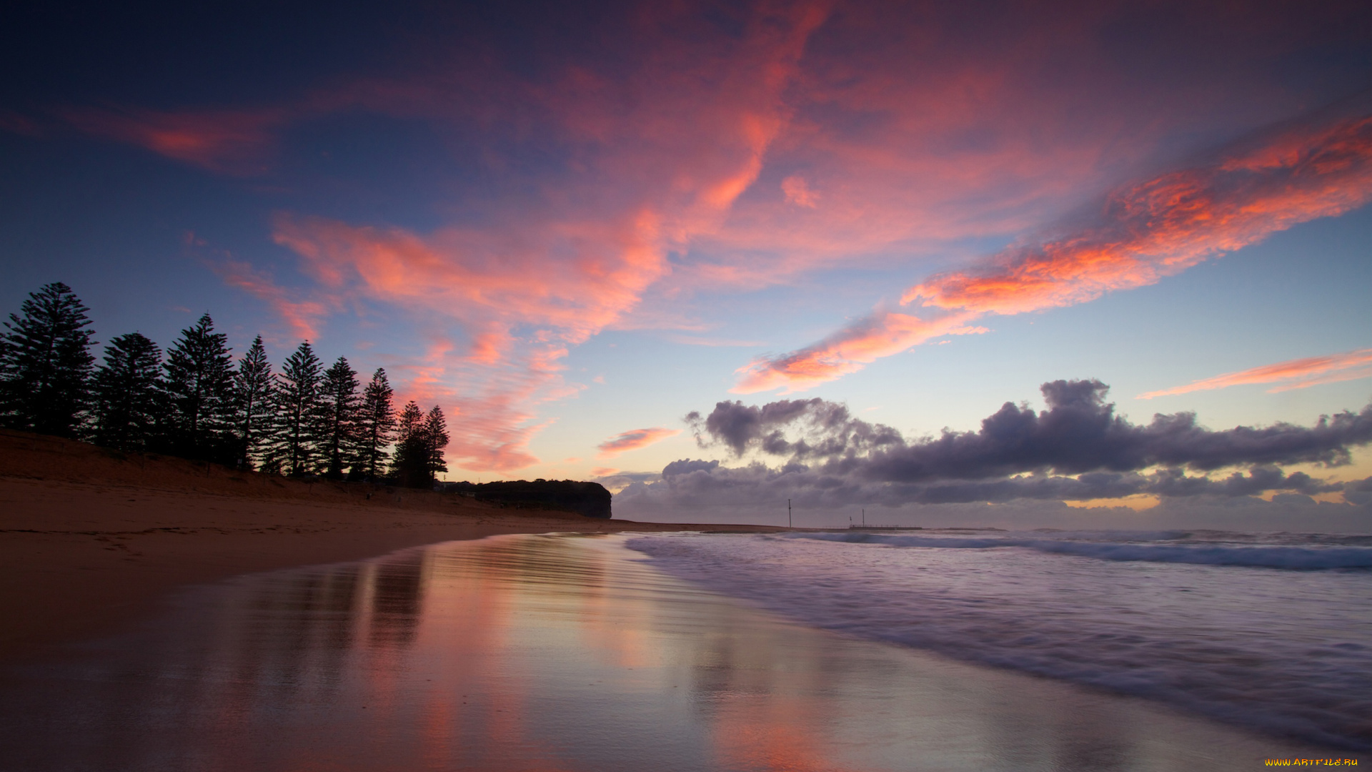 природа, побережье, море, деревья, закат, берег