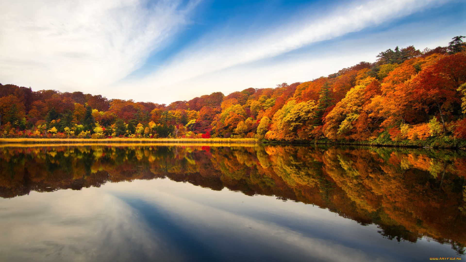 природа, реки, озера, лес, озеро, осень, деревья