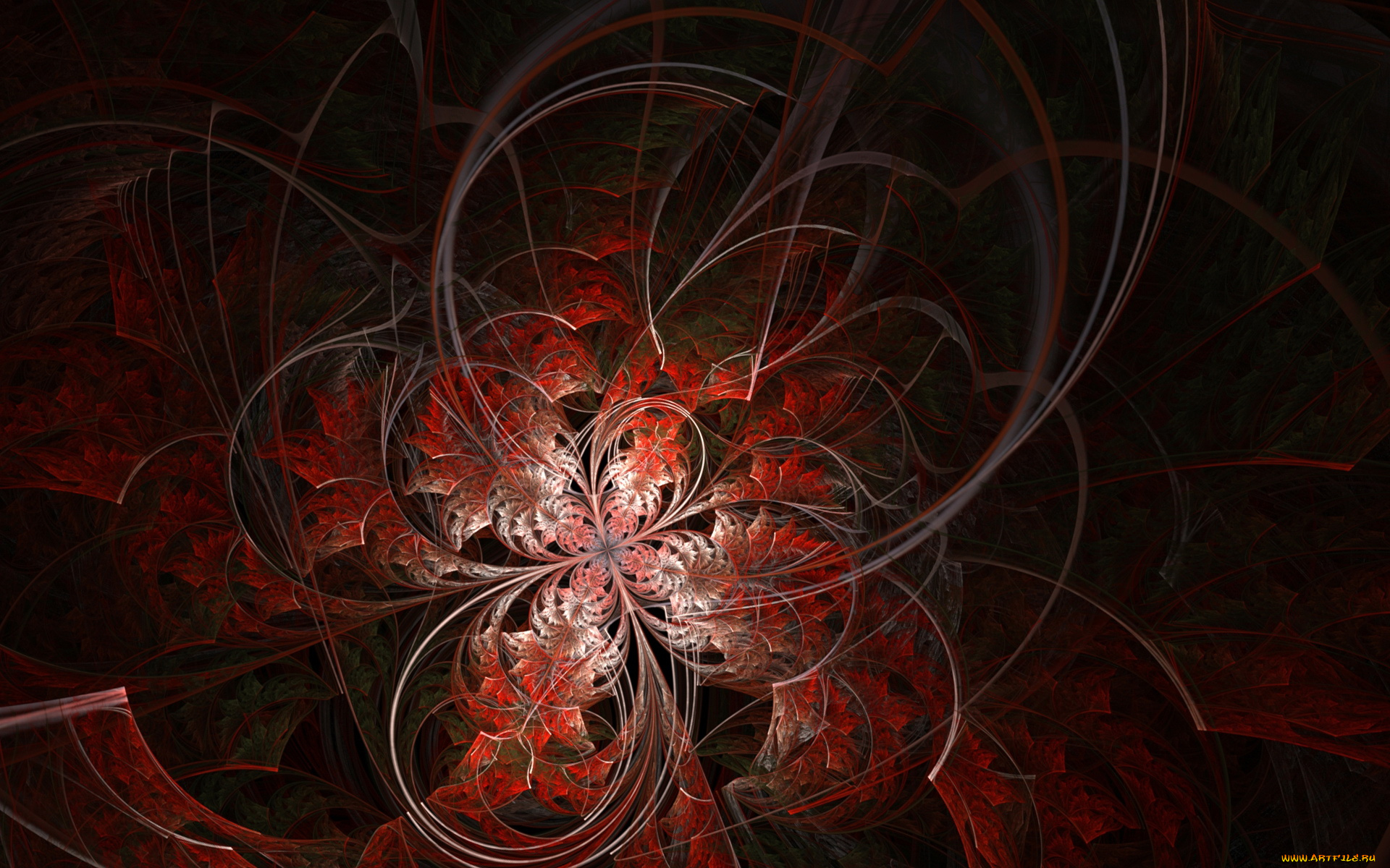 3д, графика, fractal, фракталы, абстракция