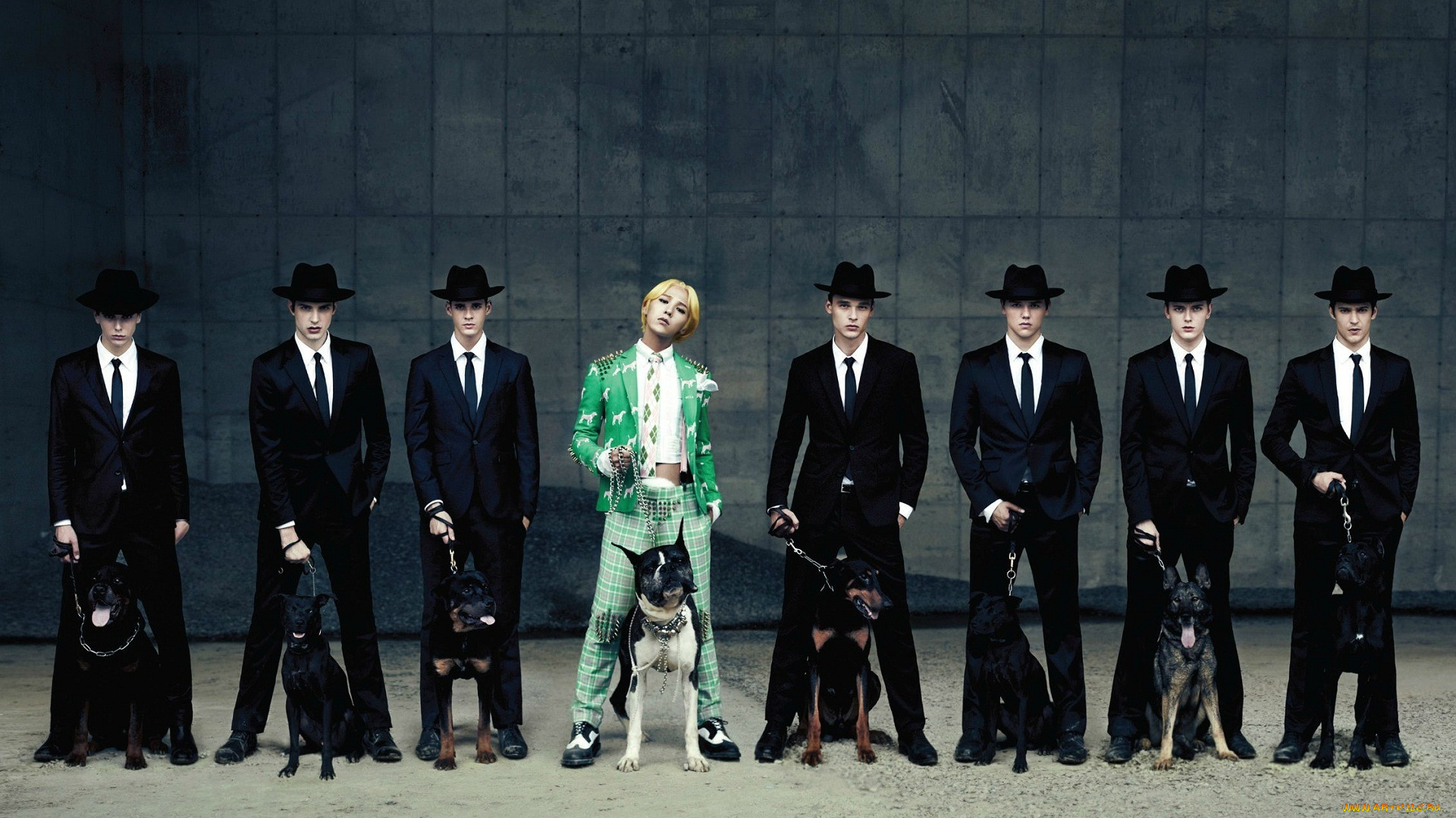музыка, big, bang, южная, корея, k-pop, собаки, мужчины, bigbang, one, of, a, kind, g-dragon