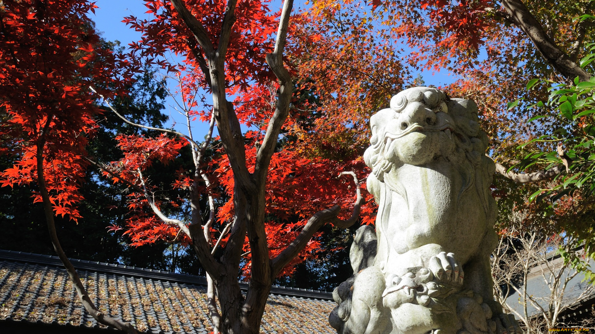 разное, рельефы, статуи, музейные, экспонаты, дракон