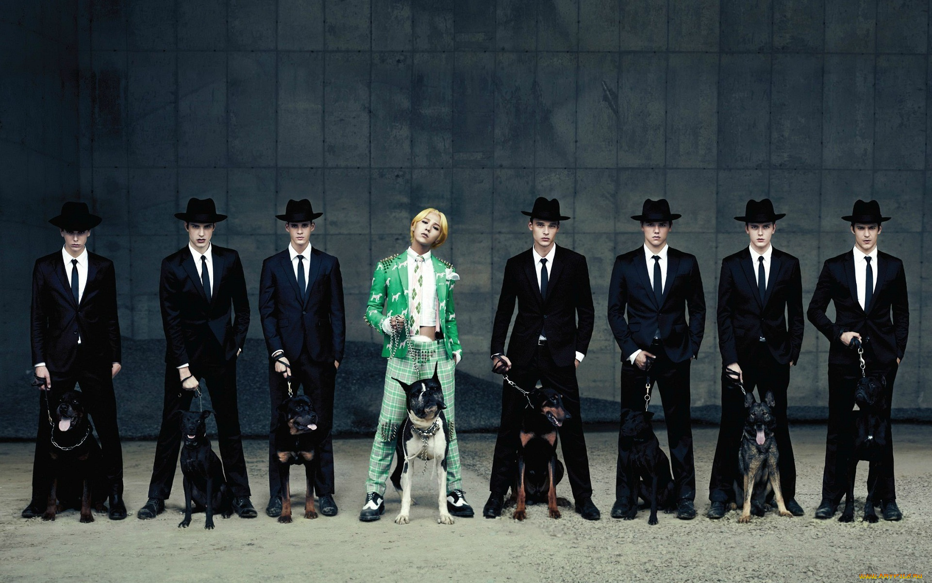 музыка, big, bang, южная, корея, k-pop, собаки, мужчины, bigbang, one, of, a, kind, g-dragon