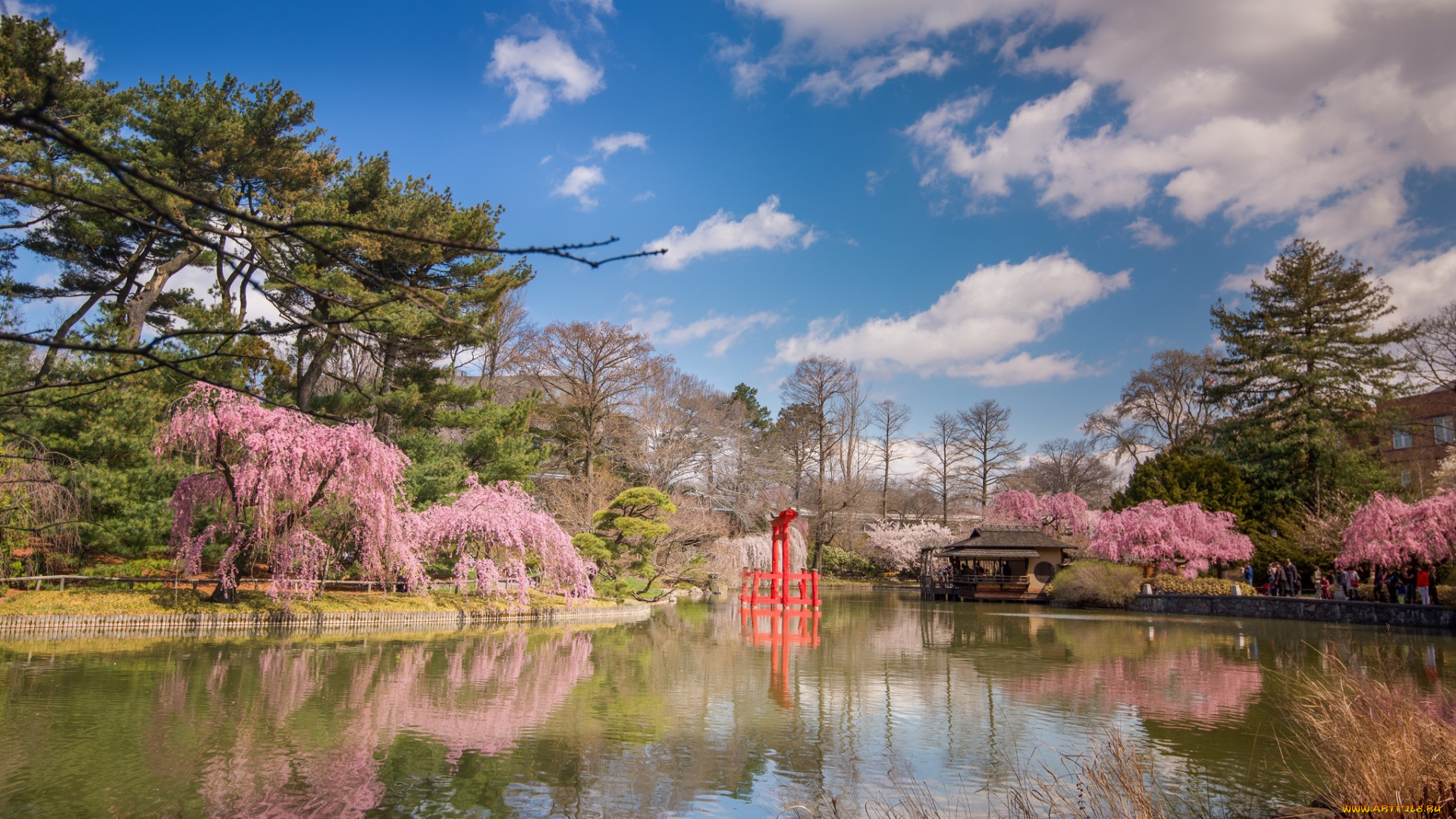 природа, парк, беседка, пруд, деревья