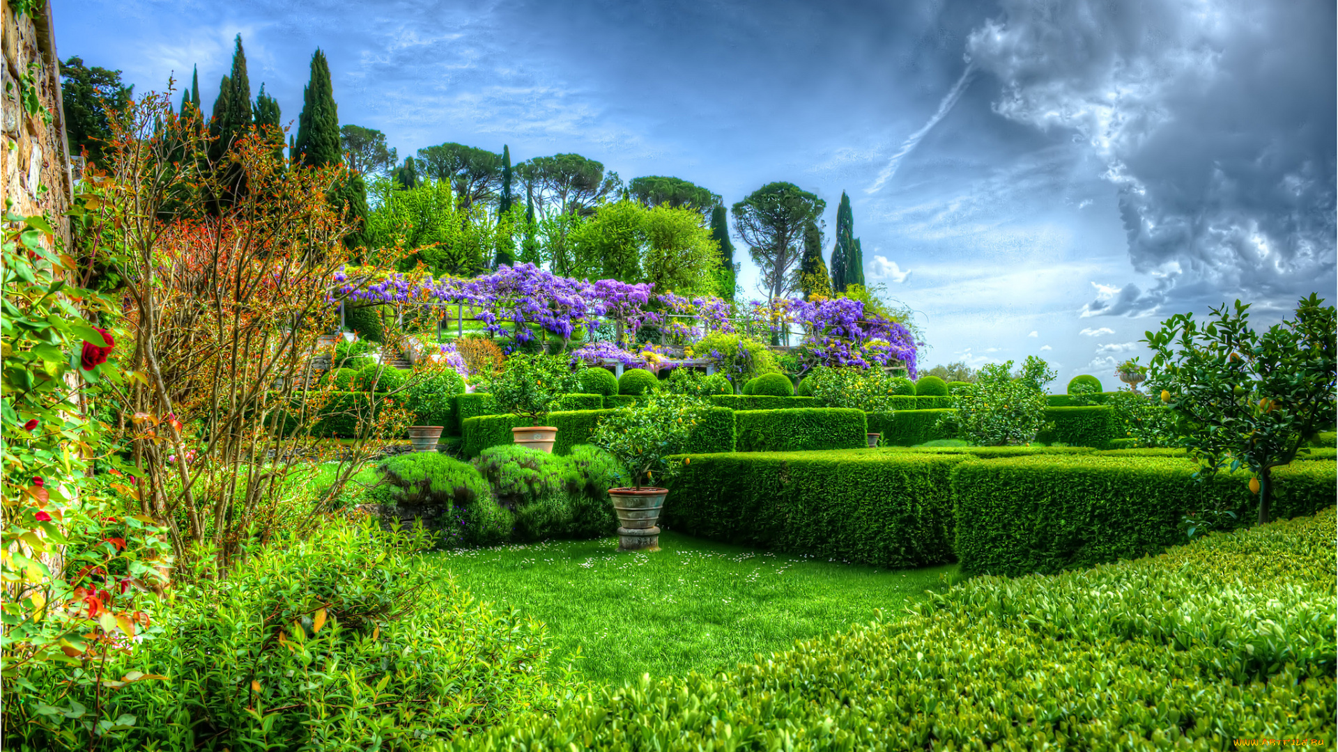 природа, парк, облака, газон, деревья, кустарник