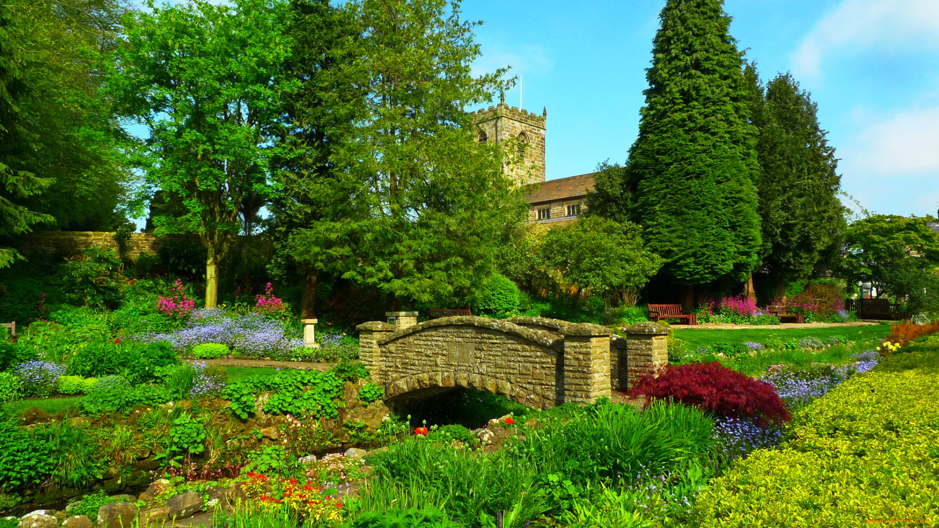 природа, парк, река, мостик, растения, англия