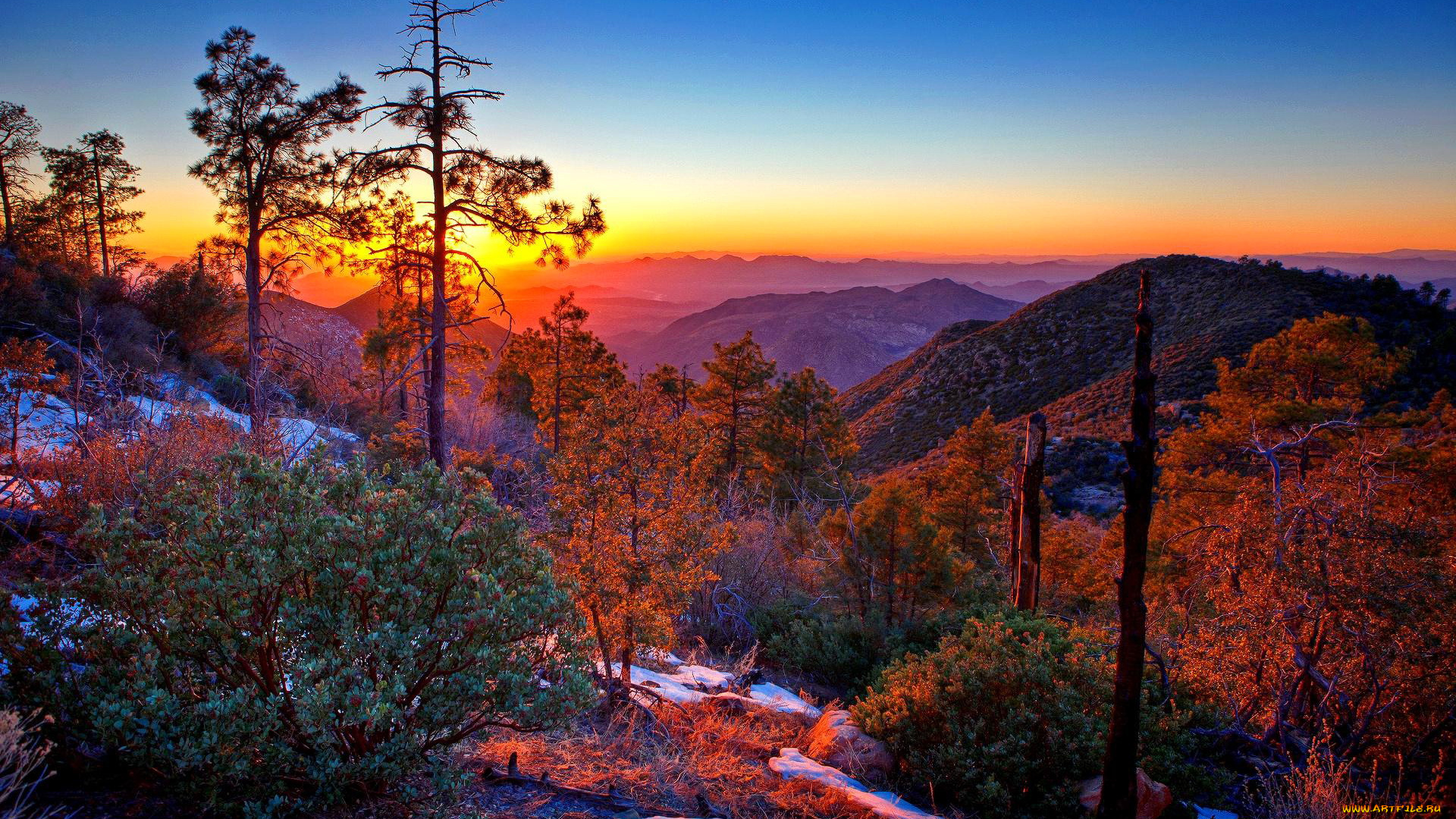природа, восходы, закаты, горы, лес, закат, кусты