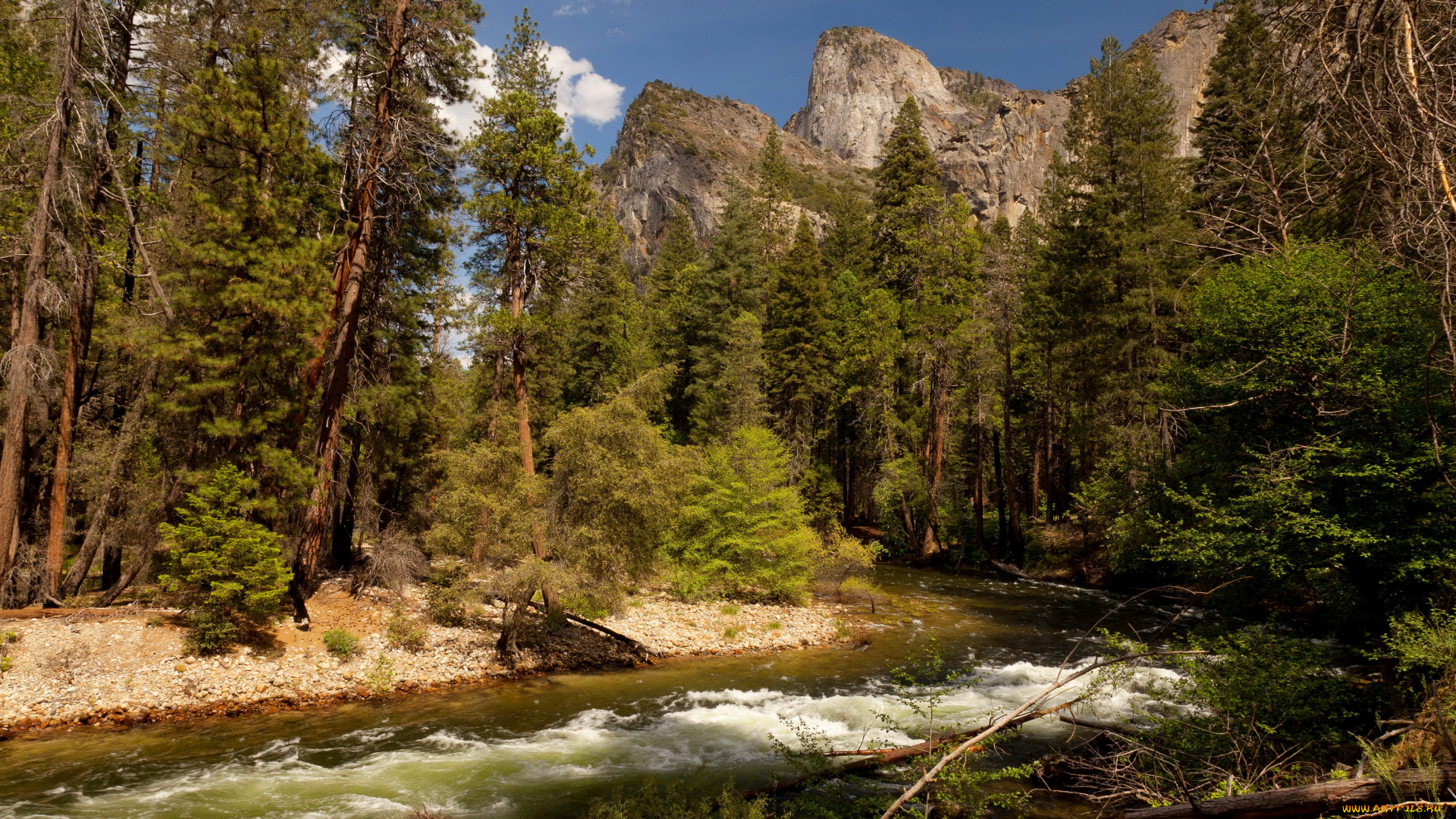 yosemite, national, park, природа, реки, озера, лес, горы, река