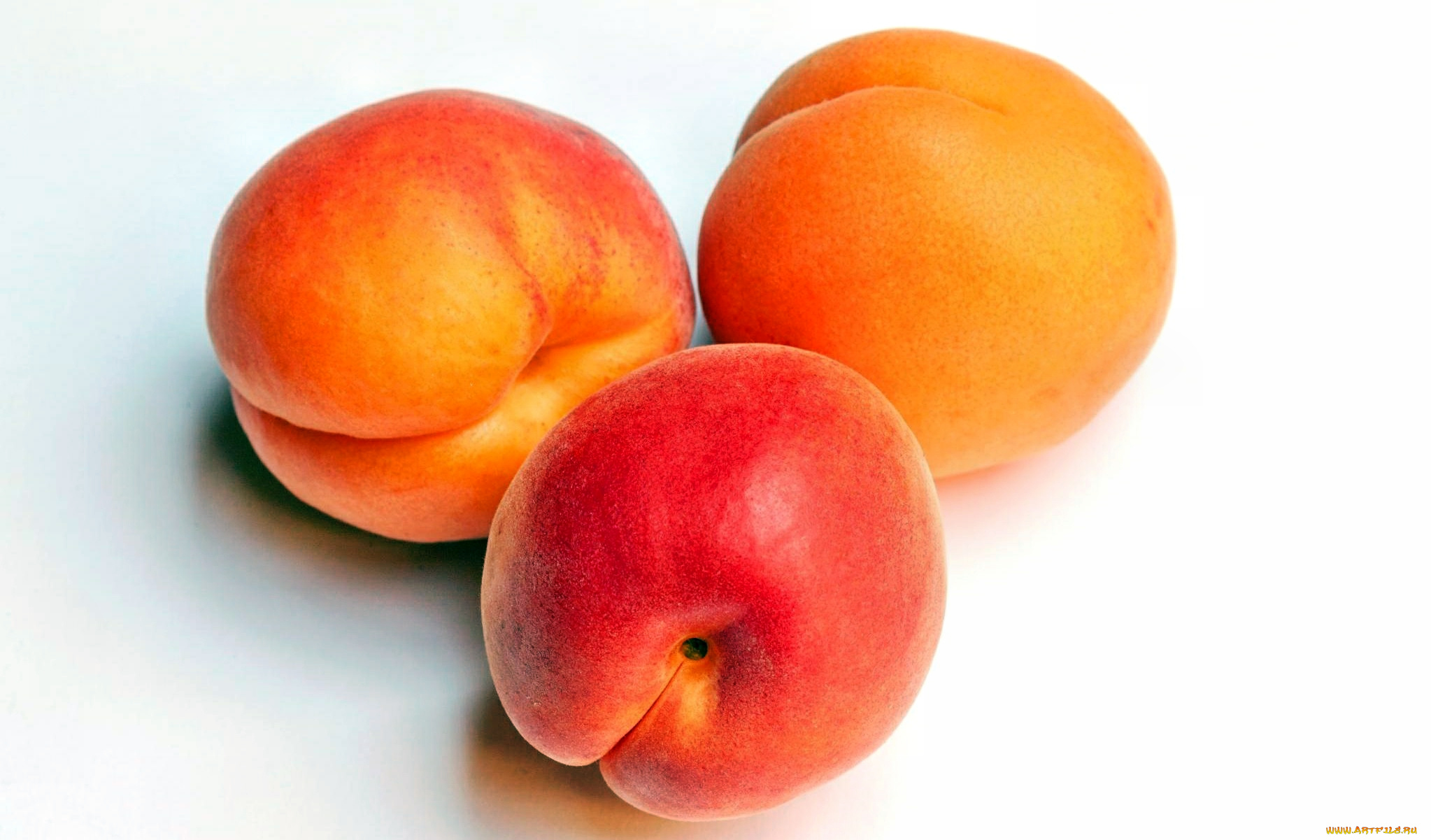 еда, персики, , сливы, , абрикосы, абрикосы