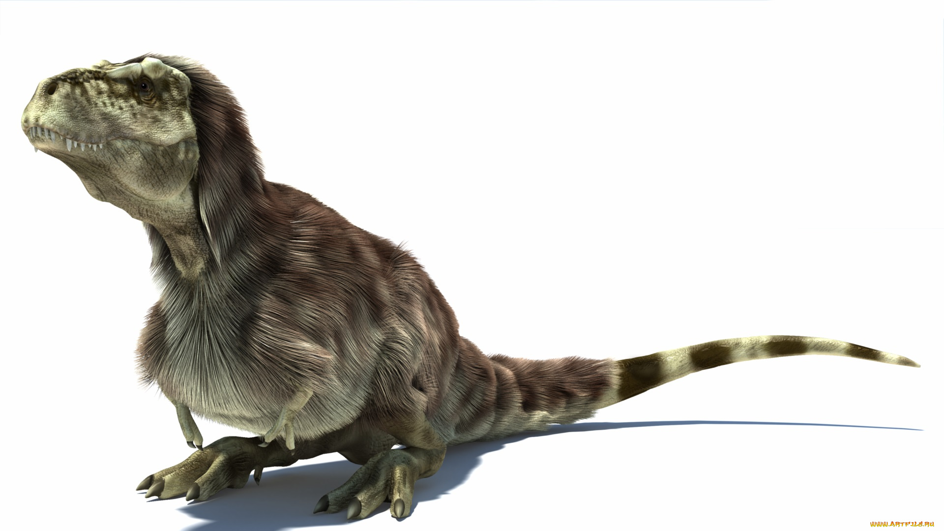 3д, графика, животные, , animals, фон, дракон