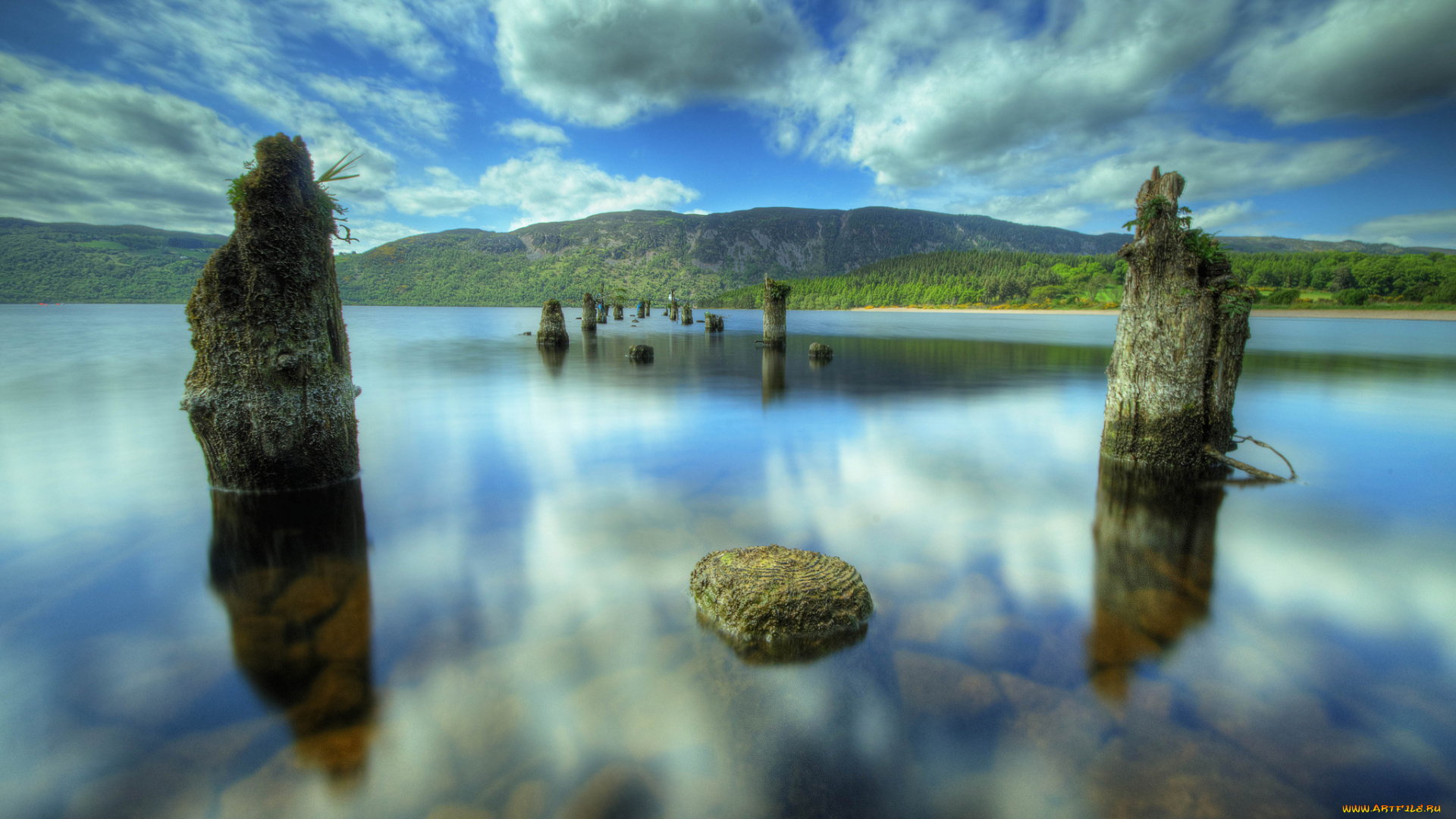 природа, реки, озера, сваи, вода, лес