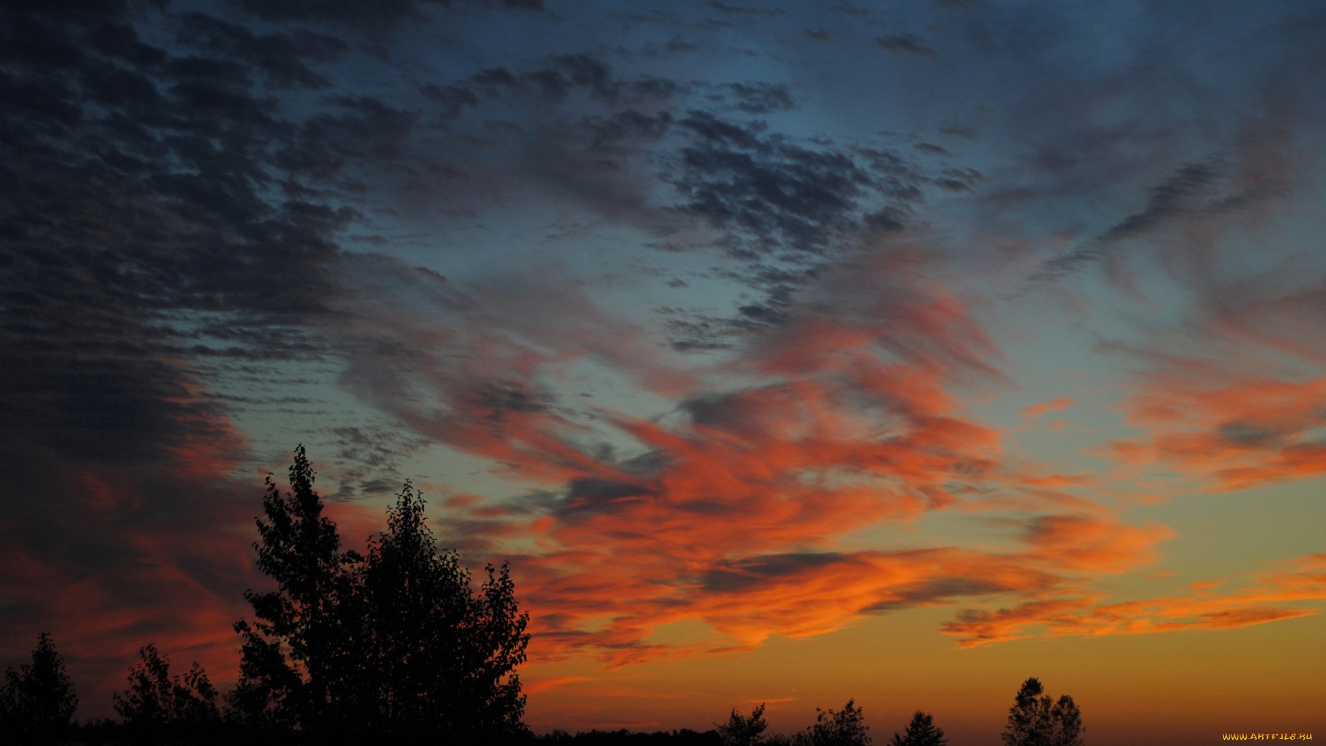 природа, восходы, закаты, силуэт, небо, облака, горизонт, деревья