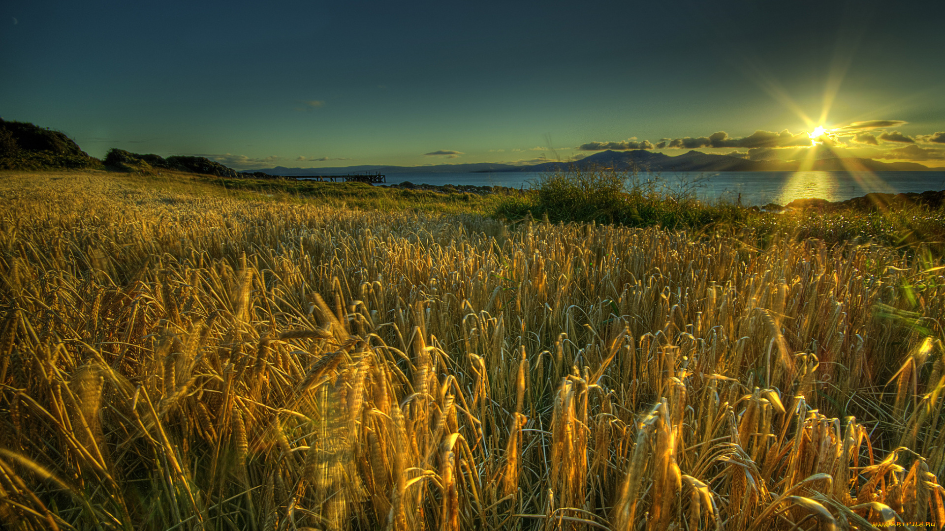 природа, восходы, закаты, солнце, рожь, поле
