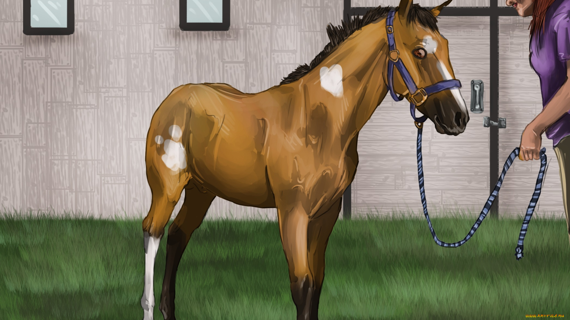 рисованное, животные, , лошади, лошадь