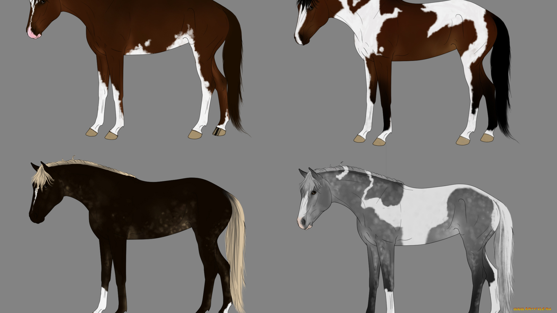 рисованное, животные, , лошади, лошади, фон