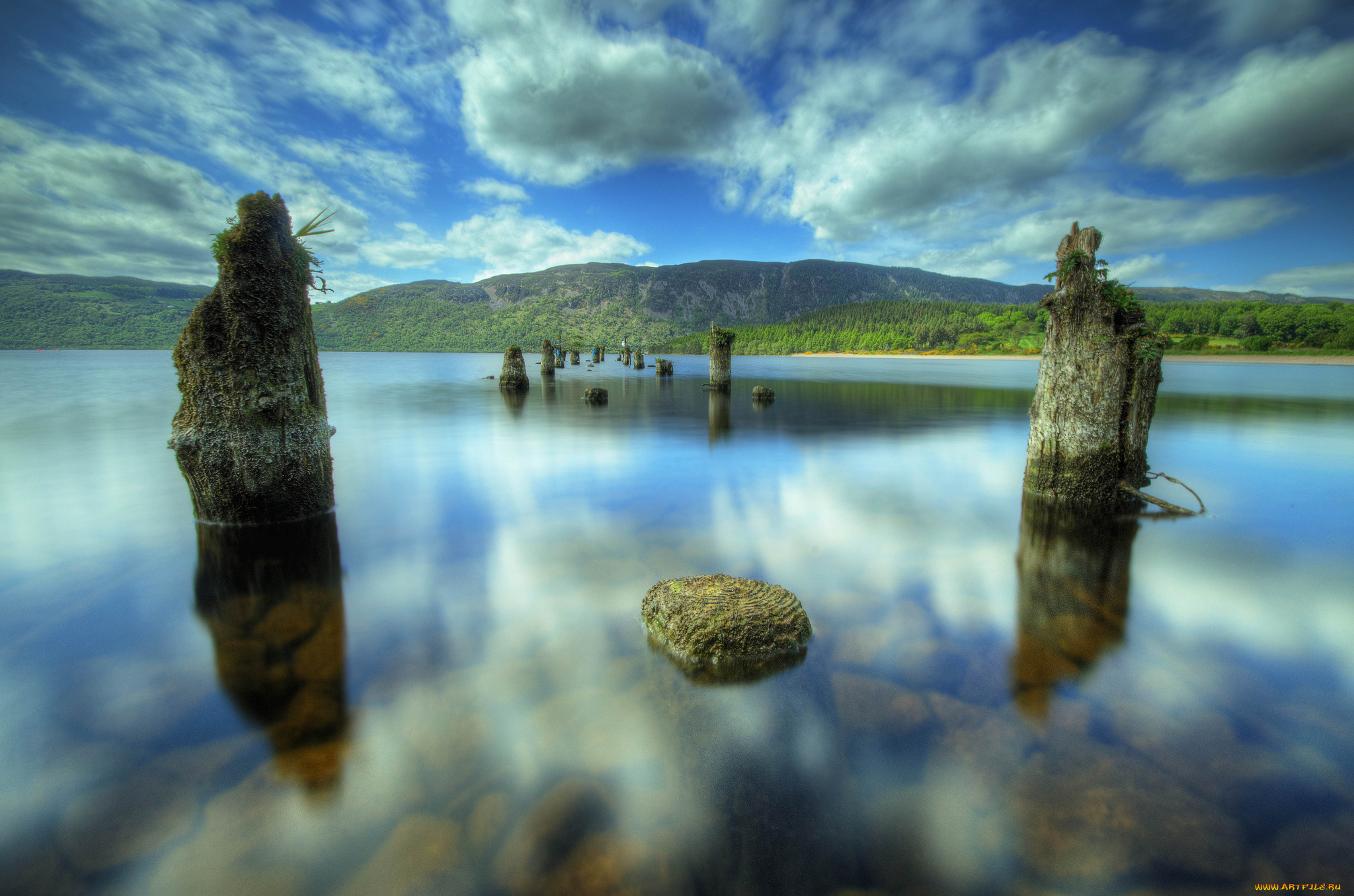 природа, реки, озера, сваи, вода, лес