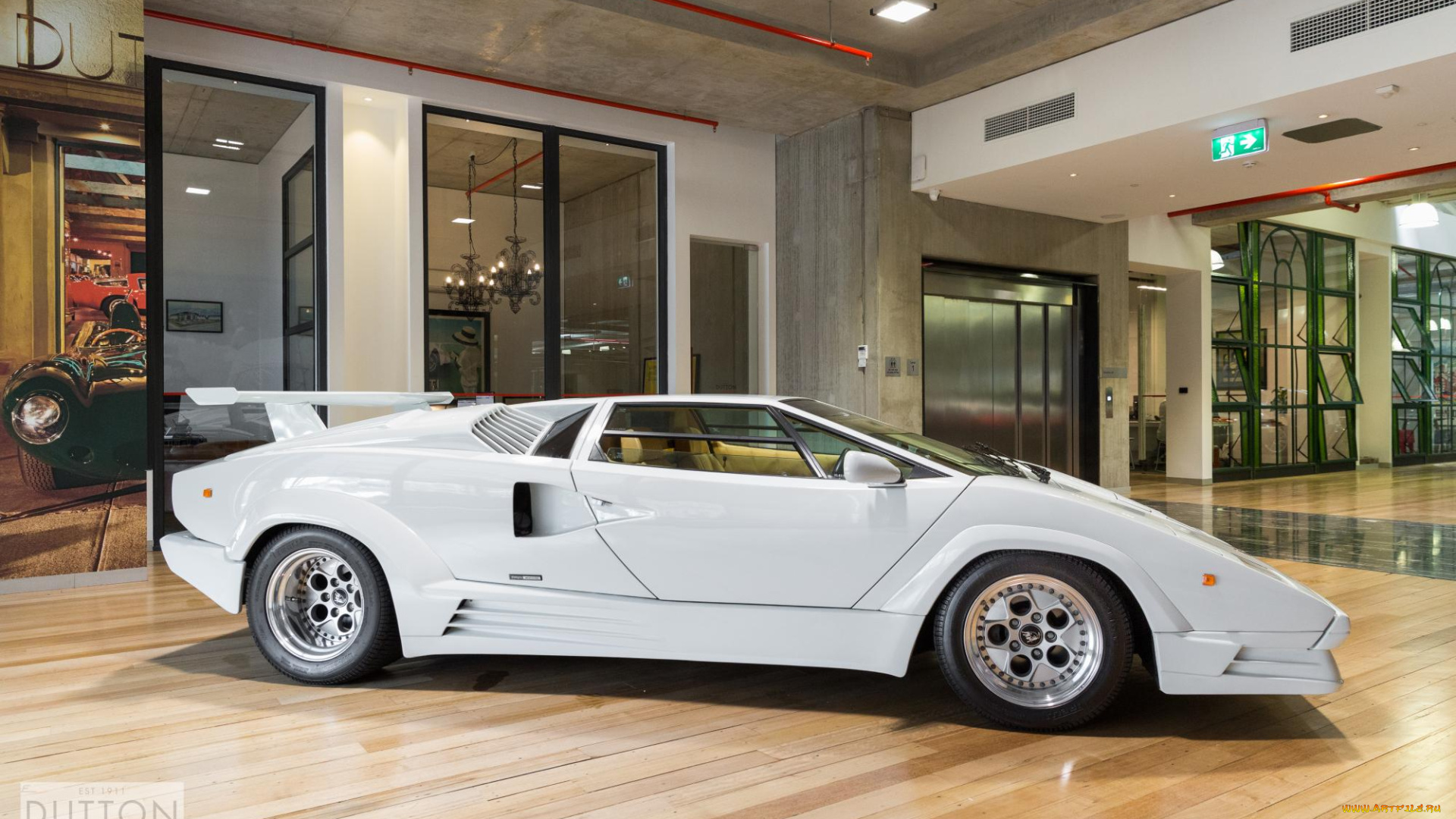 автомобили, lamborghini