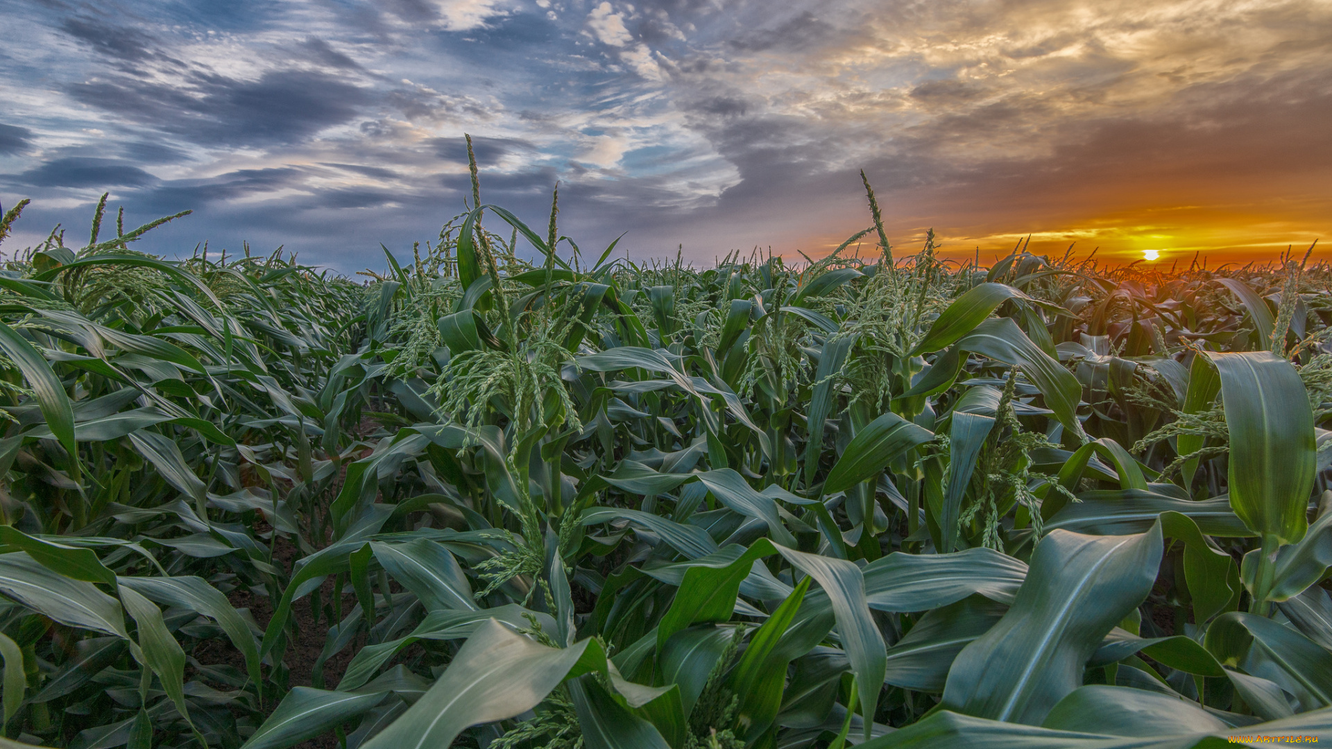 природа, восходы, закаты, рассвет