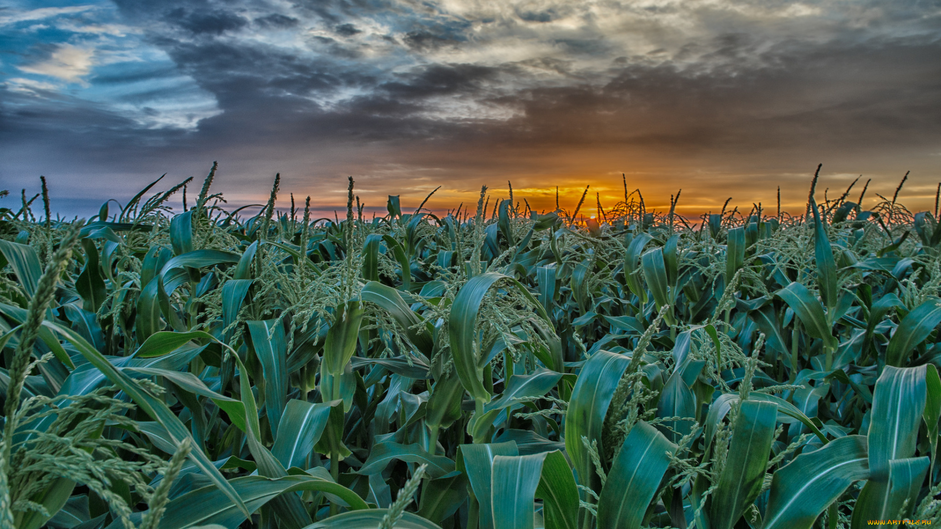 природа, восходы, закаты, рассвет