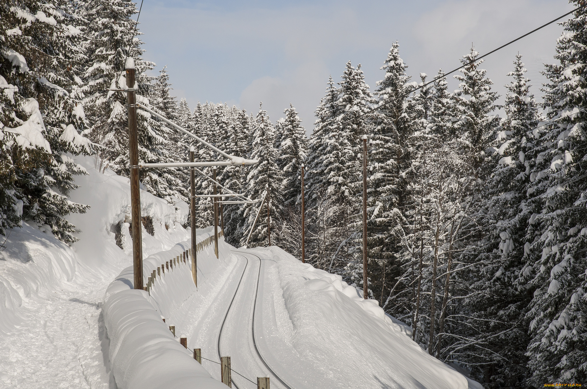 природа, зима, снег, дорога, ели